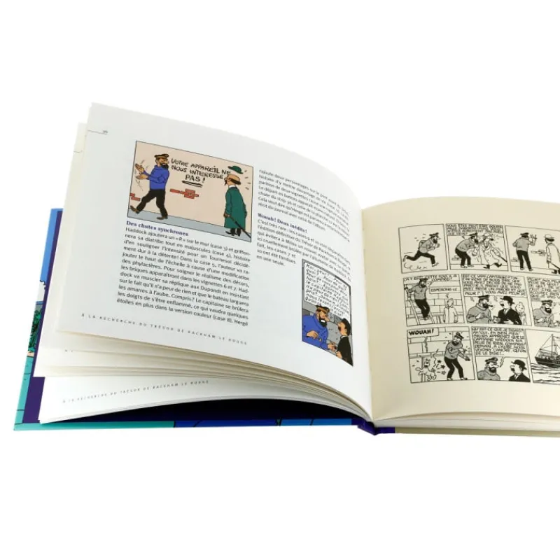 a_la_recherche_du_trsor_de_rackham_le_rouge_2.webp Monographies*Tintin Boutique A la recherche du trésor de Rackham le Rouge