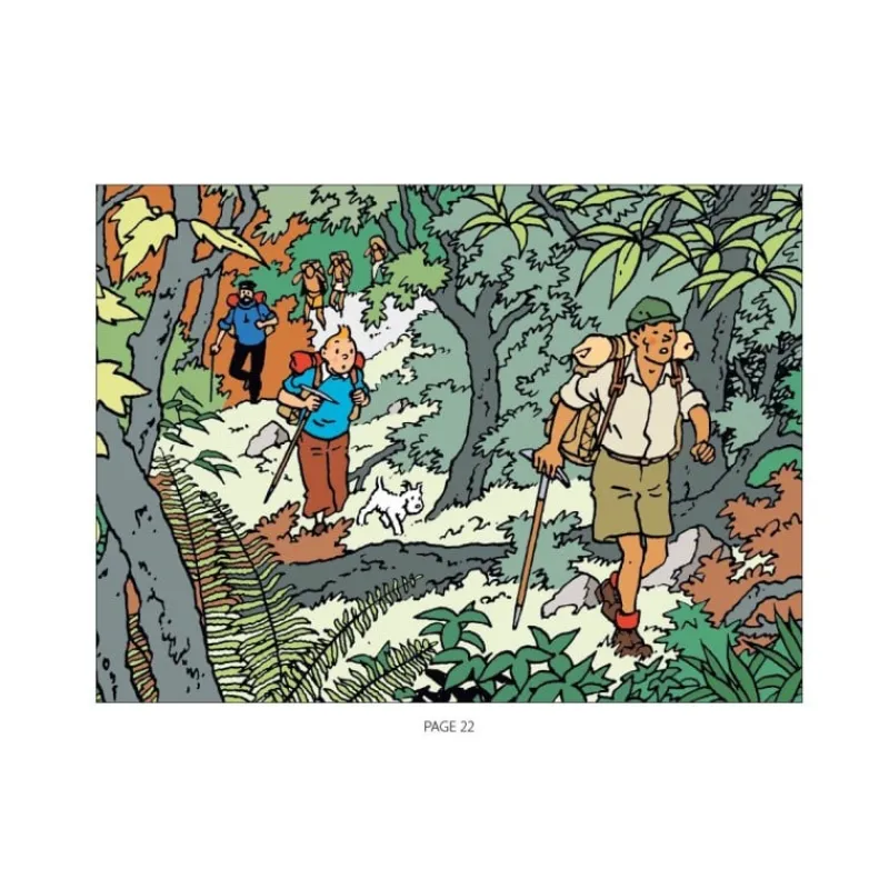 Idées Cadeaux | Coloriages*Tintin Boutique Album à colorier - Tintin au Tibet (2025)