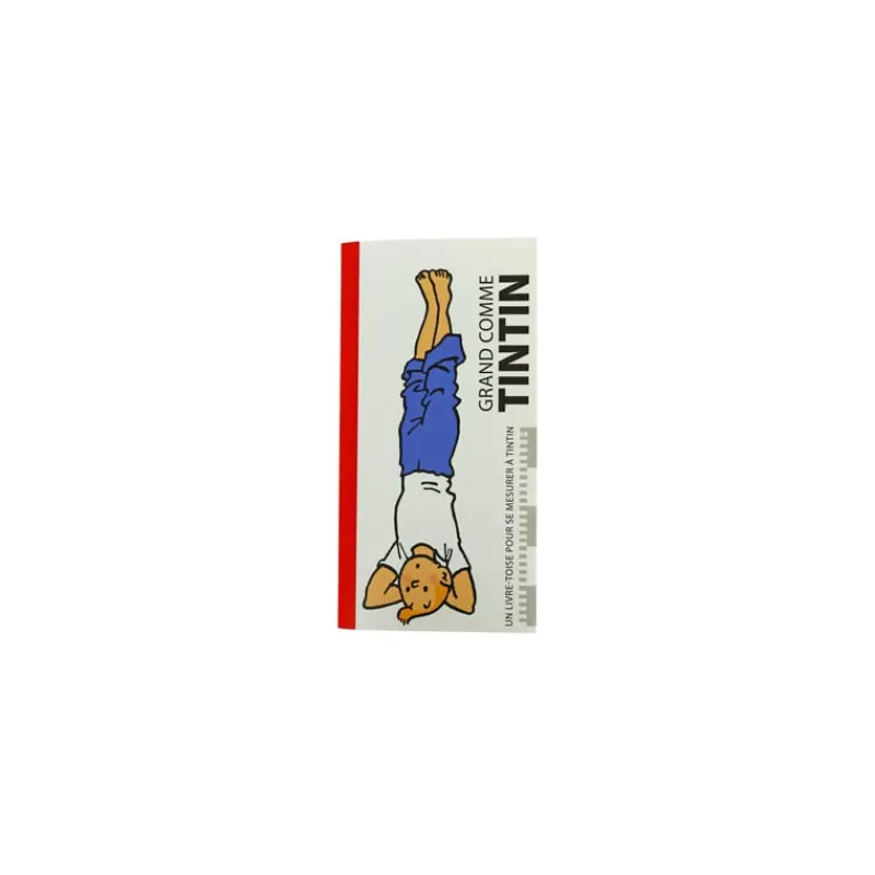 Monographies*Tintin Boutique Album Toise - Yoga