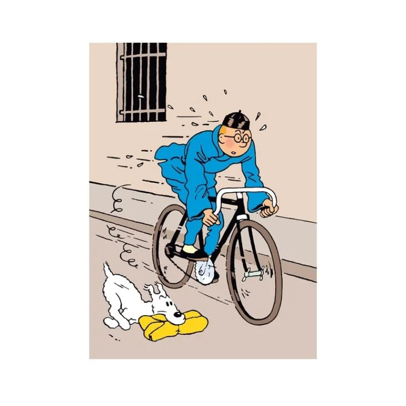 Chemises En Plastiques*Tintin Boutique Chemise plastique - Tintin et le Lotus bleu (A4)